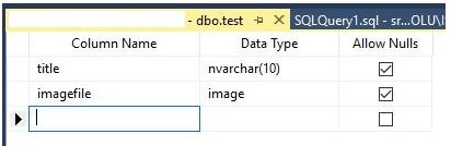 SQL Database Resim Değişkeni Tanımlama